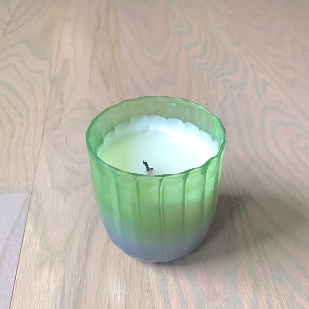 Anthropologie Juliette Boxed Candle dahlietta